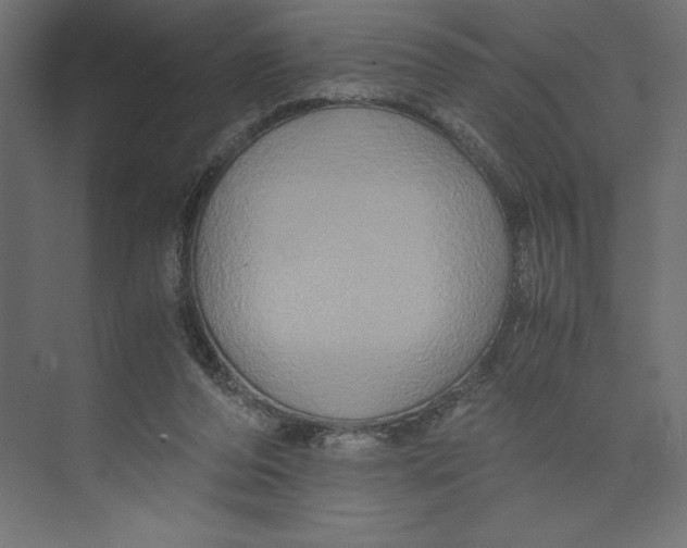 X0000073410208200608181104