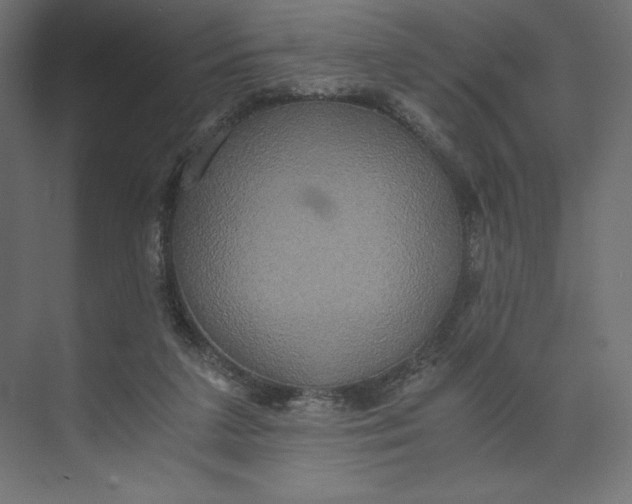 X0000073410211200608181104