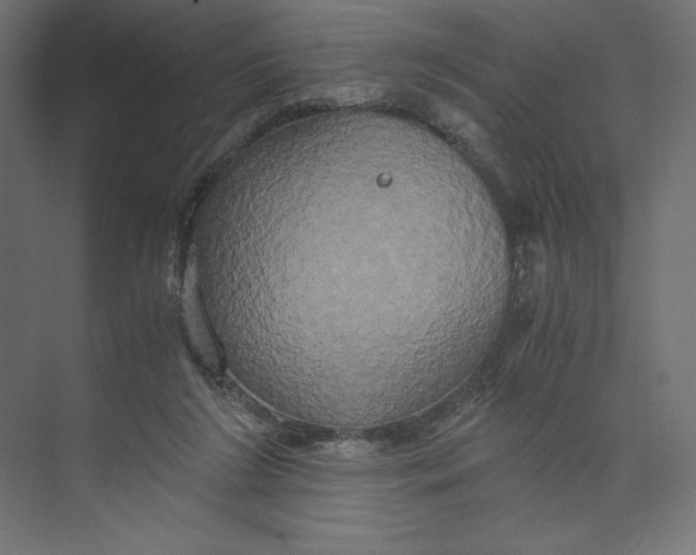 X0000073410212200608181104