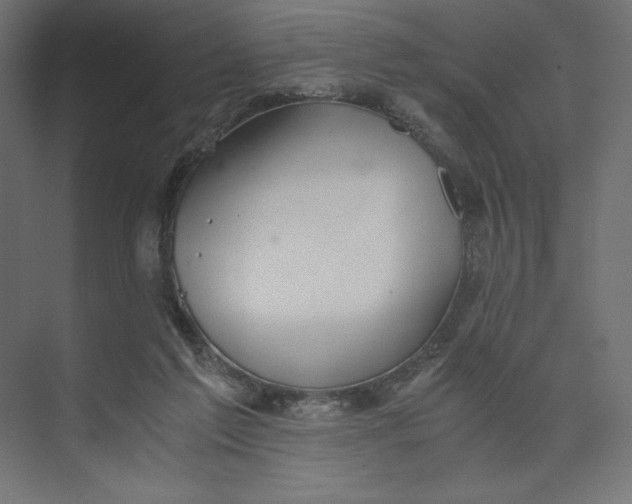 X0000073410213200608181103