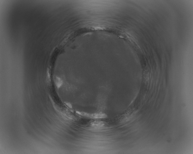 X0000073410214200608181103