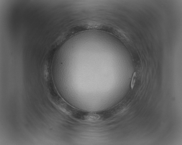 X0000073410215200608181103