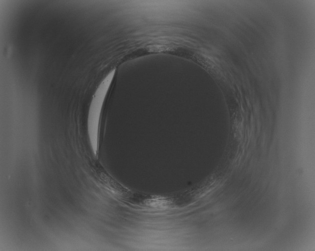 X0000073410219200608181103