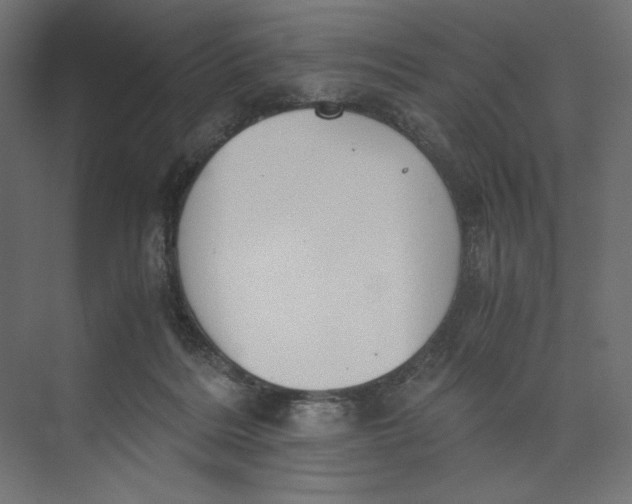 X0000073410220200608181103