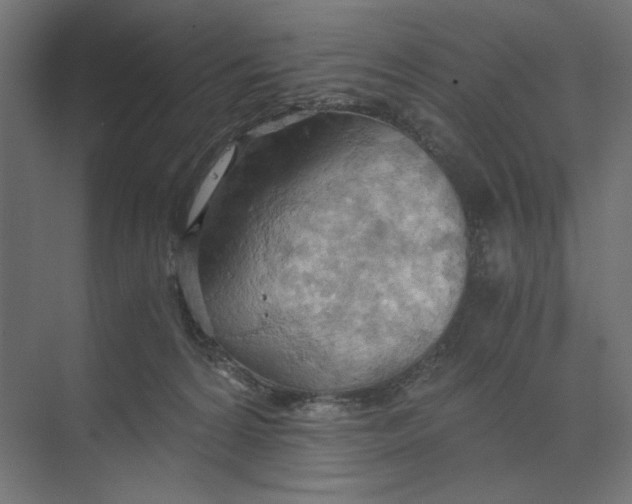 X0000073410224200608181103