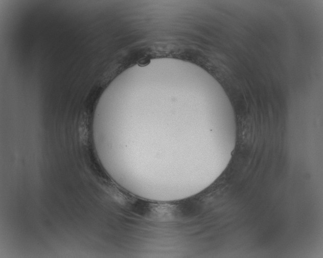 X0000073410226200608181103