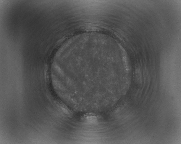 X0000073410228200608181103