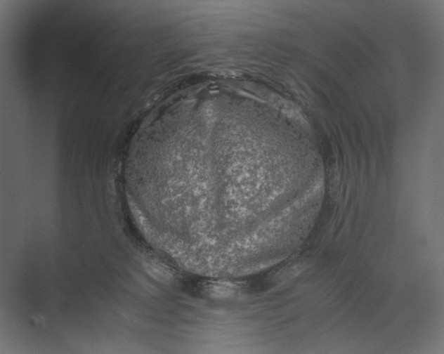 X0000073410229200608181103