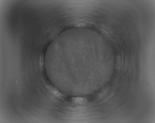 X0000073410230200608181103