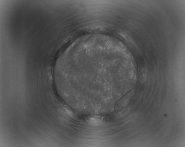 X0000073410232200608181103