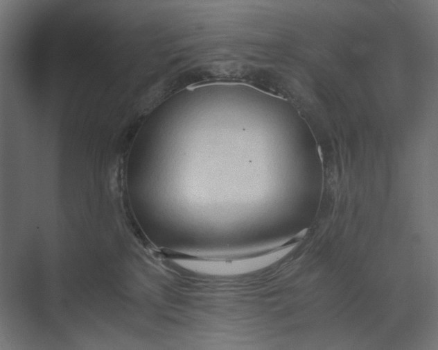 X0000073410233200608181103