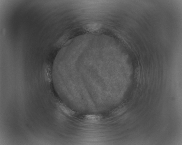 X0000073410234200608181103