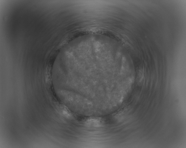 X0000073410236200608181103