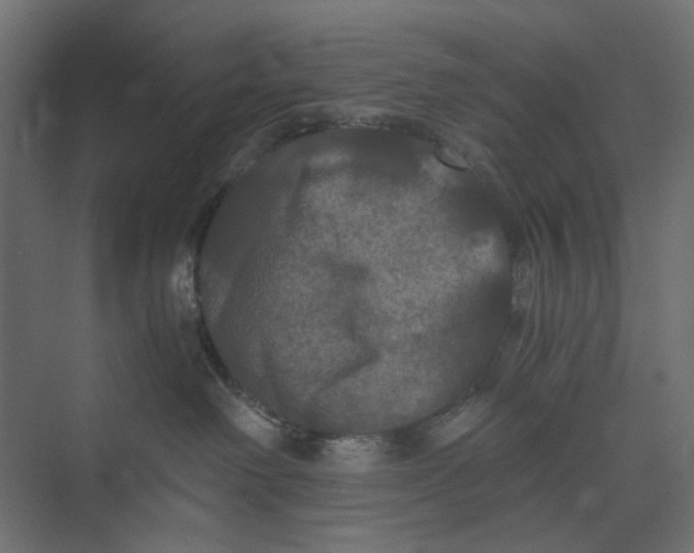 X0000073410238200608181103