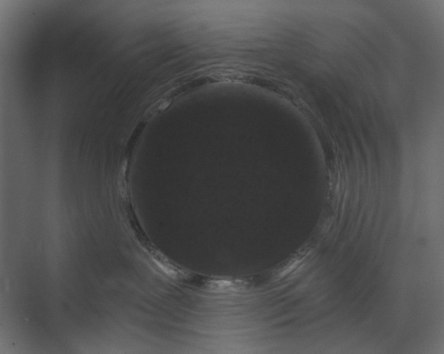 X0000073410239200608181103