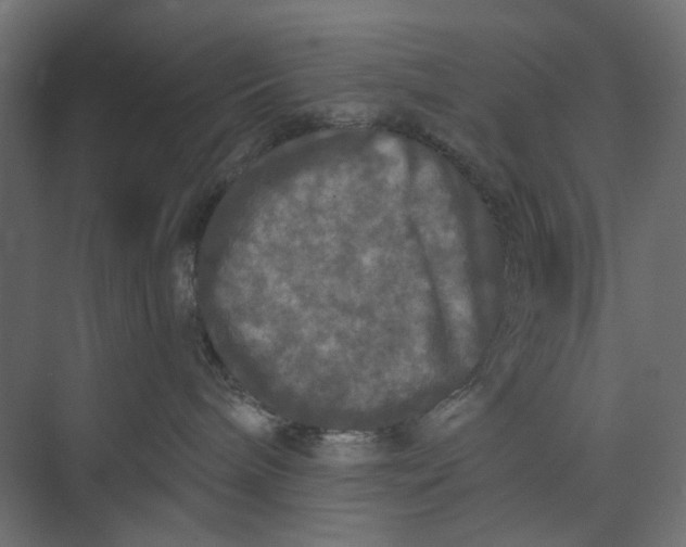 X0000073410240200608181103