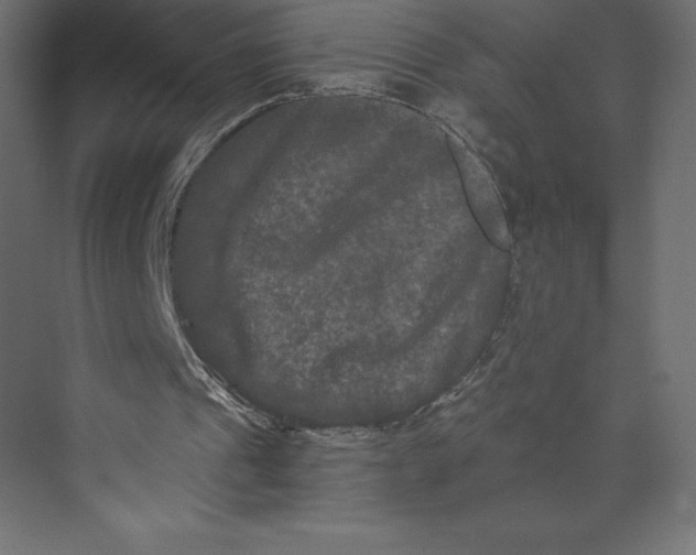 X0000073410241200608181102