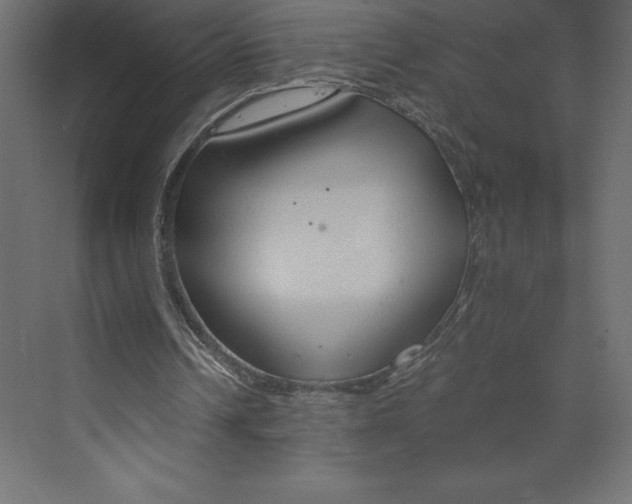 X0000073410242200608181102