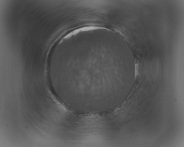 X0000073410243200608181102