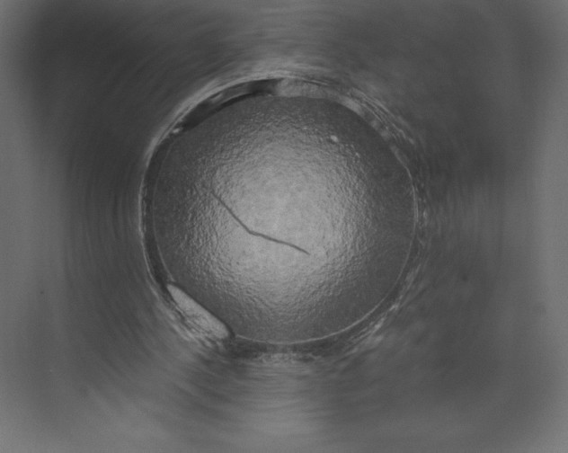 X0000073410244200608181102