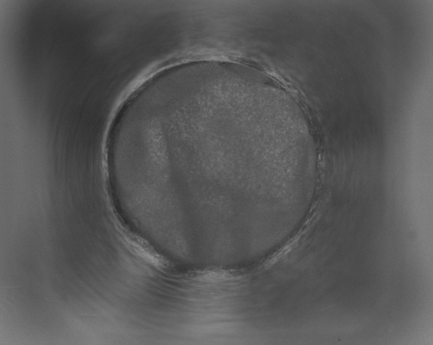 X0000073410246200608181102