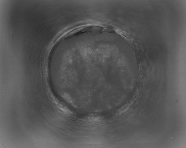 X0000073410247200608181102