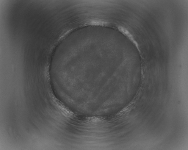 X0000073410249200608181102