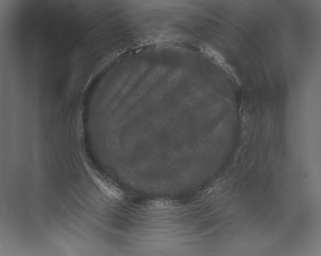 X0000073410250200608181102