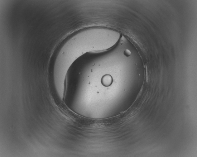 X0000073410252200608181102