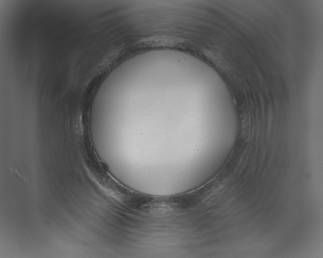 X0000073410254200608181102