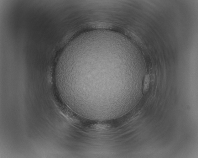 X0000073410255200608181102