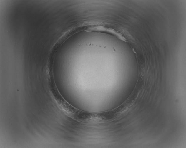 X0000073410256200608181102