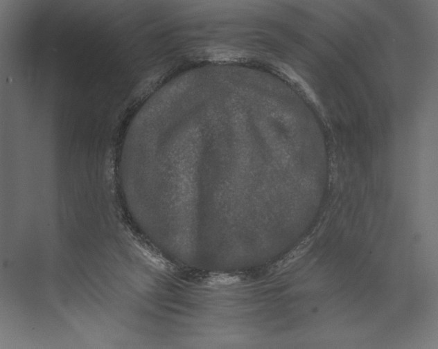 X0000073410257200608181103