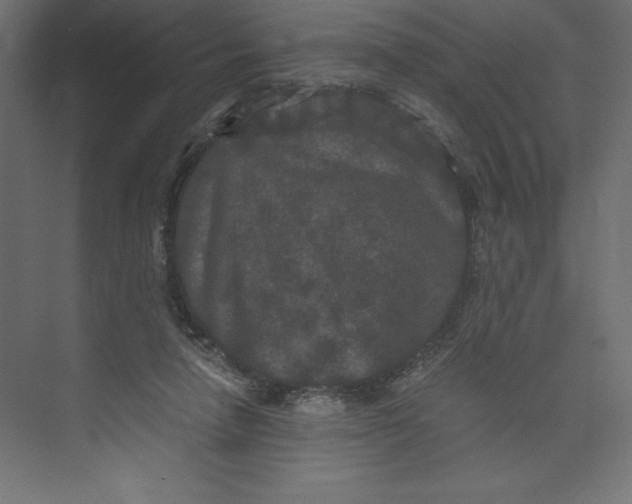 X0000073410258200608181103