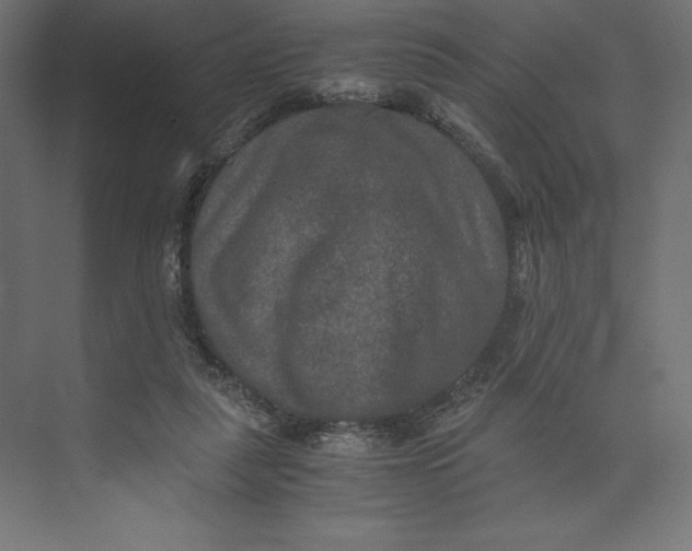 X0000073410259200608181103