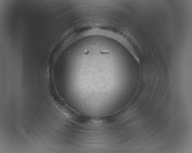 X0000073410260200608181103