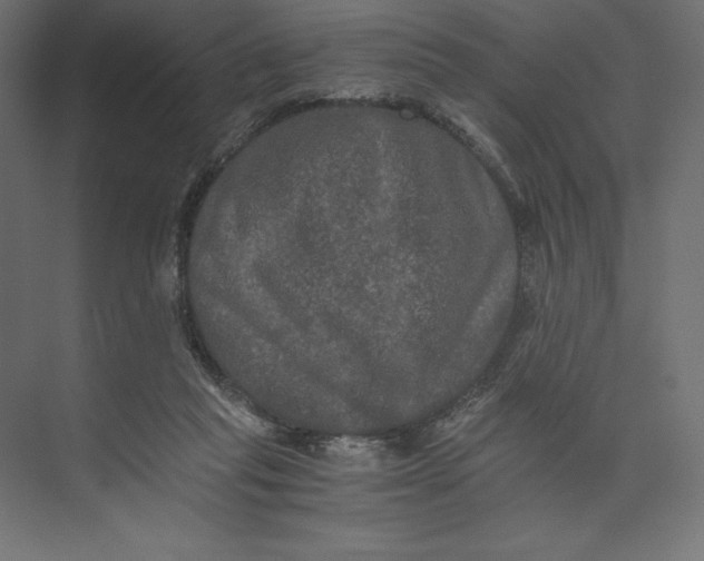 X0000073410261200608181103