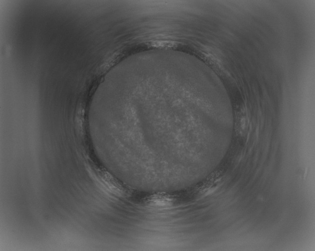 X0000073410263200608181103