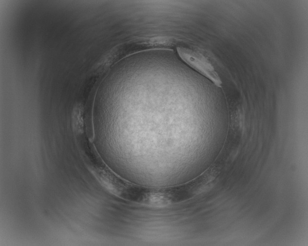 X0000073410264200608181103