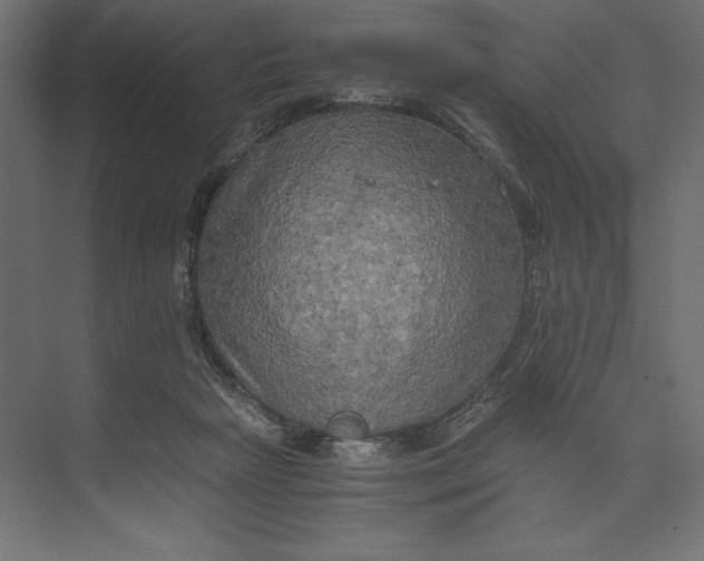 X0000073410265200608181103