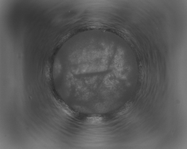 X0000073410266200608181103