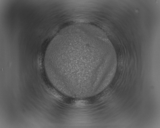 X0000073410268200608181103