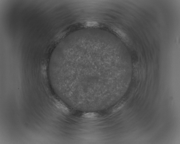 X0000073410269200608181103