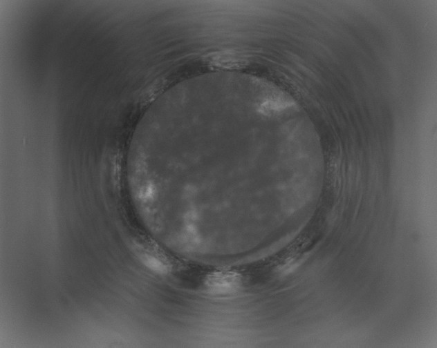 X0000073410271200608181103