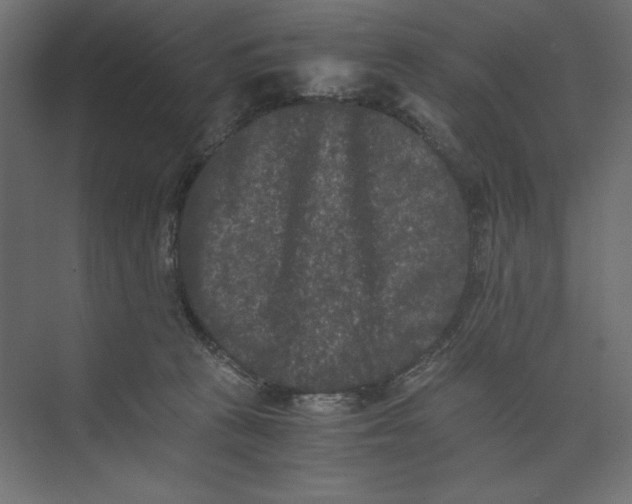 X0000073410273200608181103