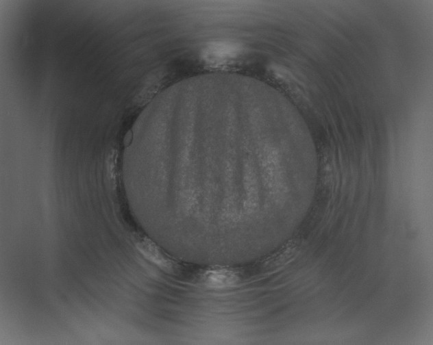 X0000073410275200608181103