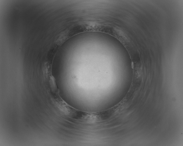 X0000073410276200608181103