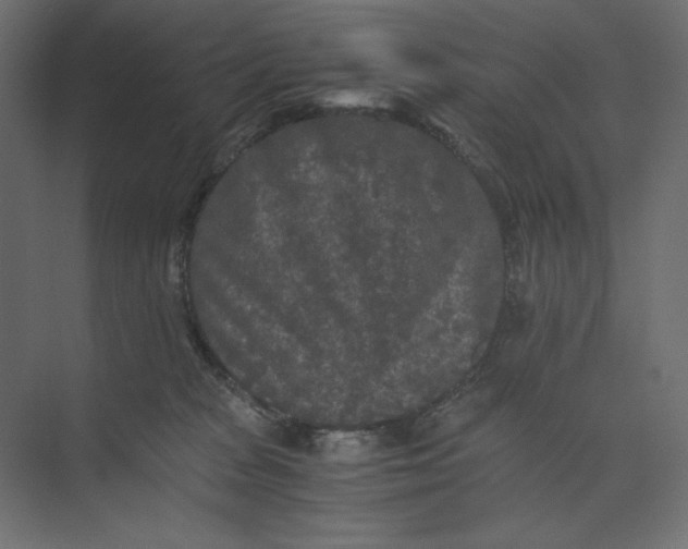 X0000073410277200608181103