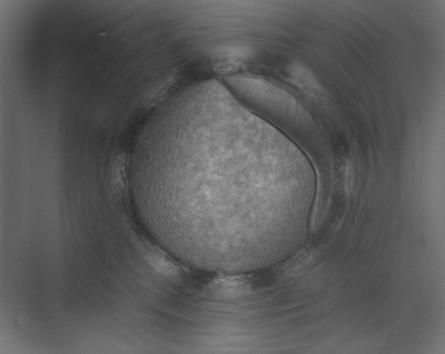 X0000073410280200608181103