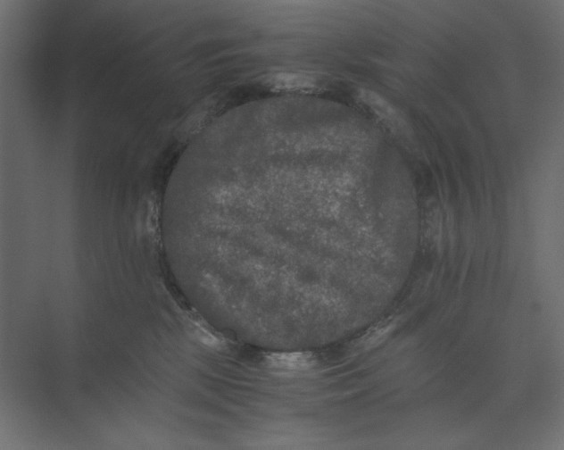 X0000073410281200608181103